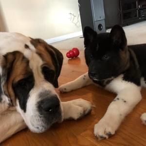 Meet your Posher, James